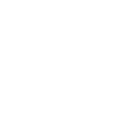 Festival Bamena Nzoueuh